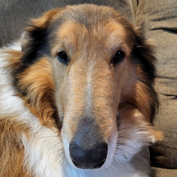 Meet the Posher Other - PLEASEreadBFbuying!